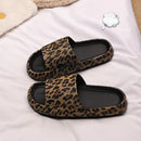 Chinelo Nuvem Oncinha
