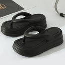 50149490491708|50149490688316|50149490884924