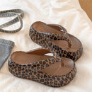 Chinelo Nuvem Oncinha