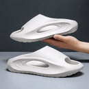 48444198289724|48444198322492|48444198355260|48444198388028|48444198420796|48444198453564|48444198486332