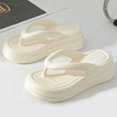 50149490557244|50149490753852|50149490950460