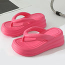 50149490590012|50149490786620|50149490983228