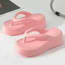 50149490655548|50149490852156|50149491048764