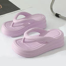 50149490622780|50149490819388|50149491015996