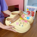 50242916843836|50242916909372|50242916942140